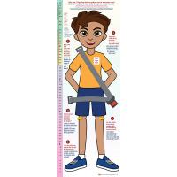 2-3899 Bilingual Life-Size Height Chart Display - Luca