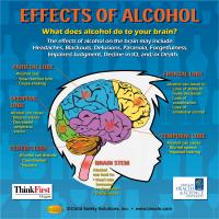10-4892 Alcohol's Effects on the Brain - Tabletop Display - Customized Sample