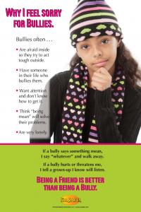 10-3029 Why I Feel Sorry for Bullies Poster - English 