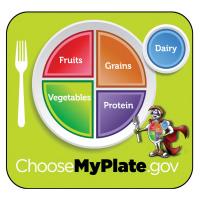 11-4006 Large Format Teaching Cards - MyPlate Nutrition 