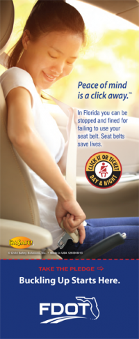 FL3-8015 Seat Belt - Click It or Ticket - Florida Info-Pledge Card 