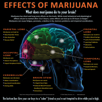 3-4200 Effects of Marijuana - Tabletop Display