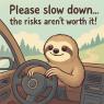 Slow down sticker