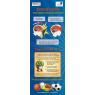 The Brain Function Tabletop works well with 10-4893, the Concussion Facts Standup Banner