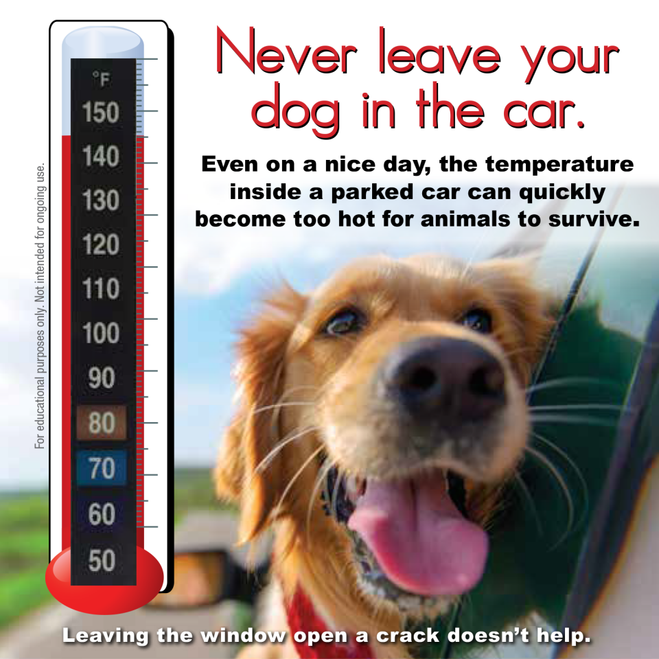 9-5110 Pet/Dog - Heatstroke Thermometer Window Cling