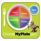 11-4006 Large Format Teaching Cards - MyPlate Nutrition 