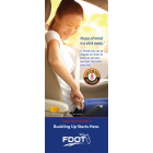 FL3-8015 Seat Belt - Click It or Ticket - Florida Info-Pledge Card 